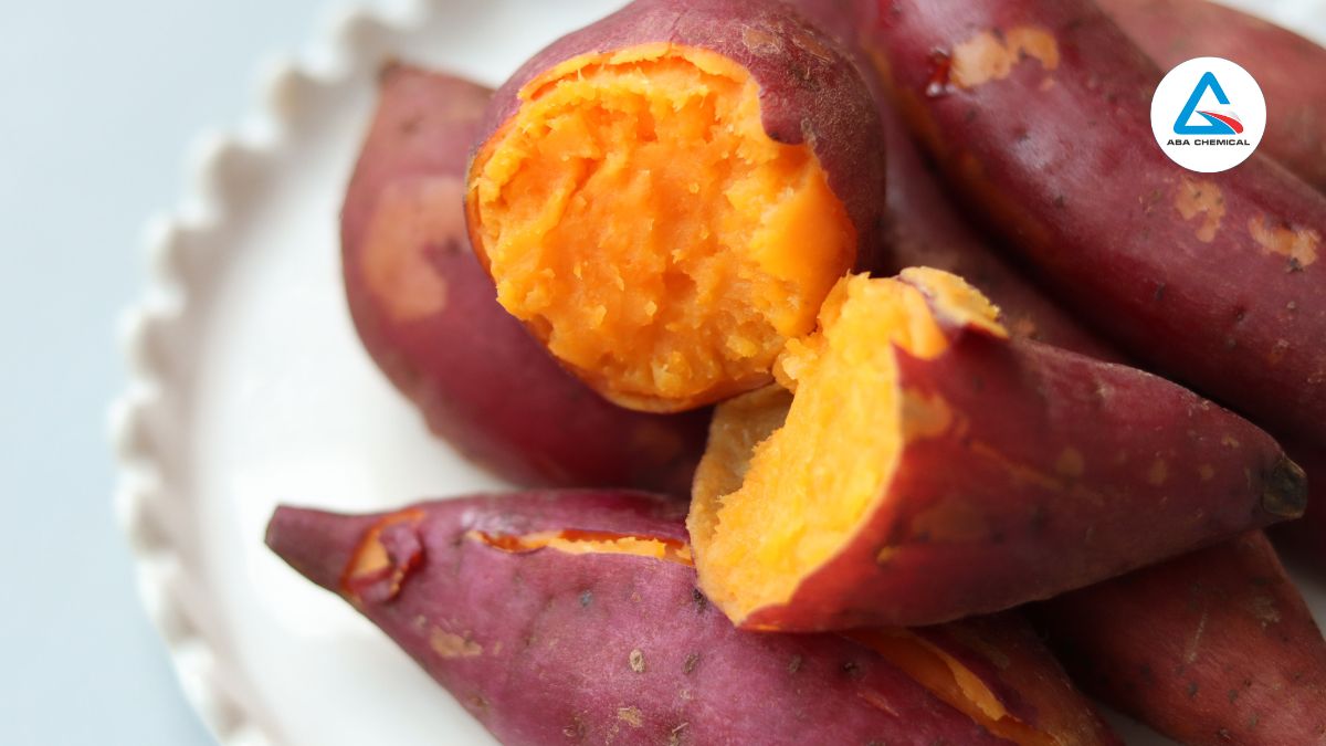 Bệnh ghẻ ngọn trên khoai lang