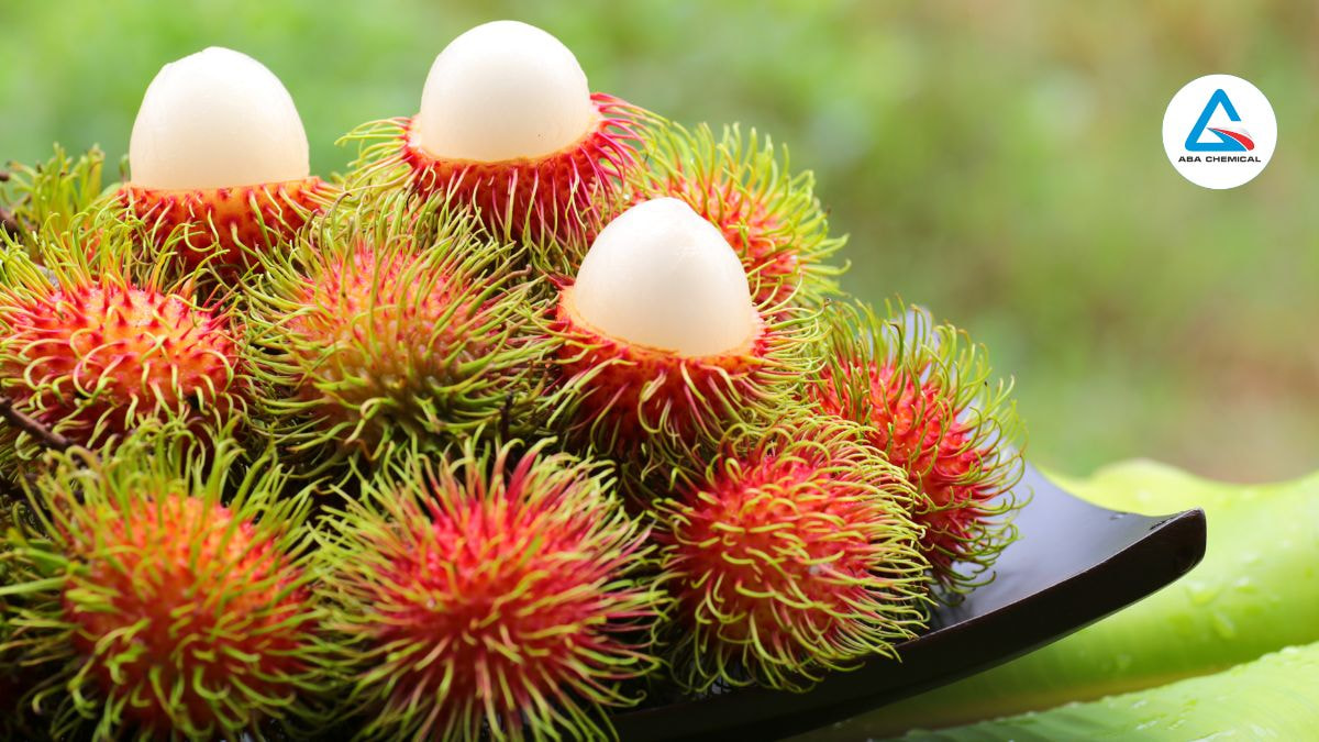 Kỹ thuật bảo quản chôm chôm hiệu quả Kỹ thuật bảo quản chôm chôm hiệu quả