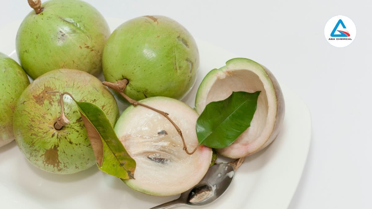 Kỹ thuật nhân giống cây vú sữa