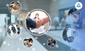 Dịch vụ định hướng kinh doanh ngành phân bón, thuốc BVTV