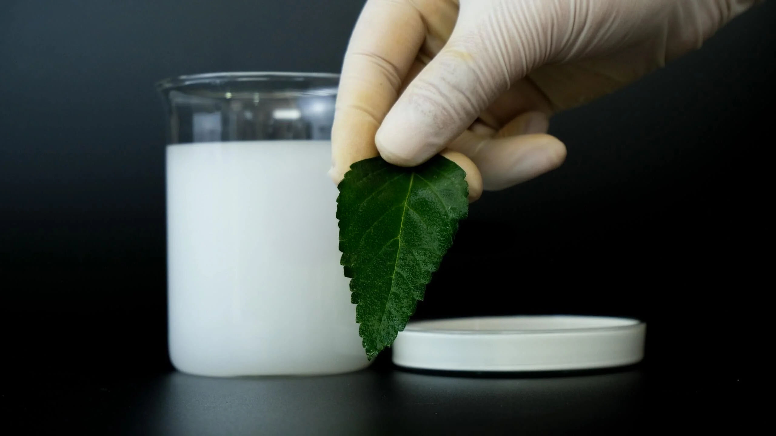 Thuốc trừ sâu Bifenthrin 17.1% và Imidacloprid 17.1%