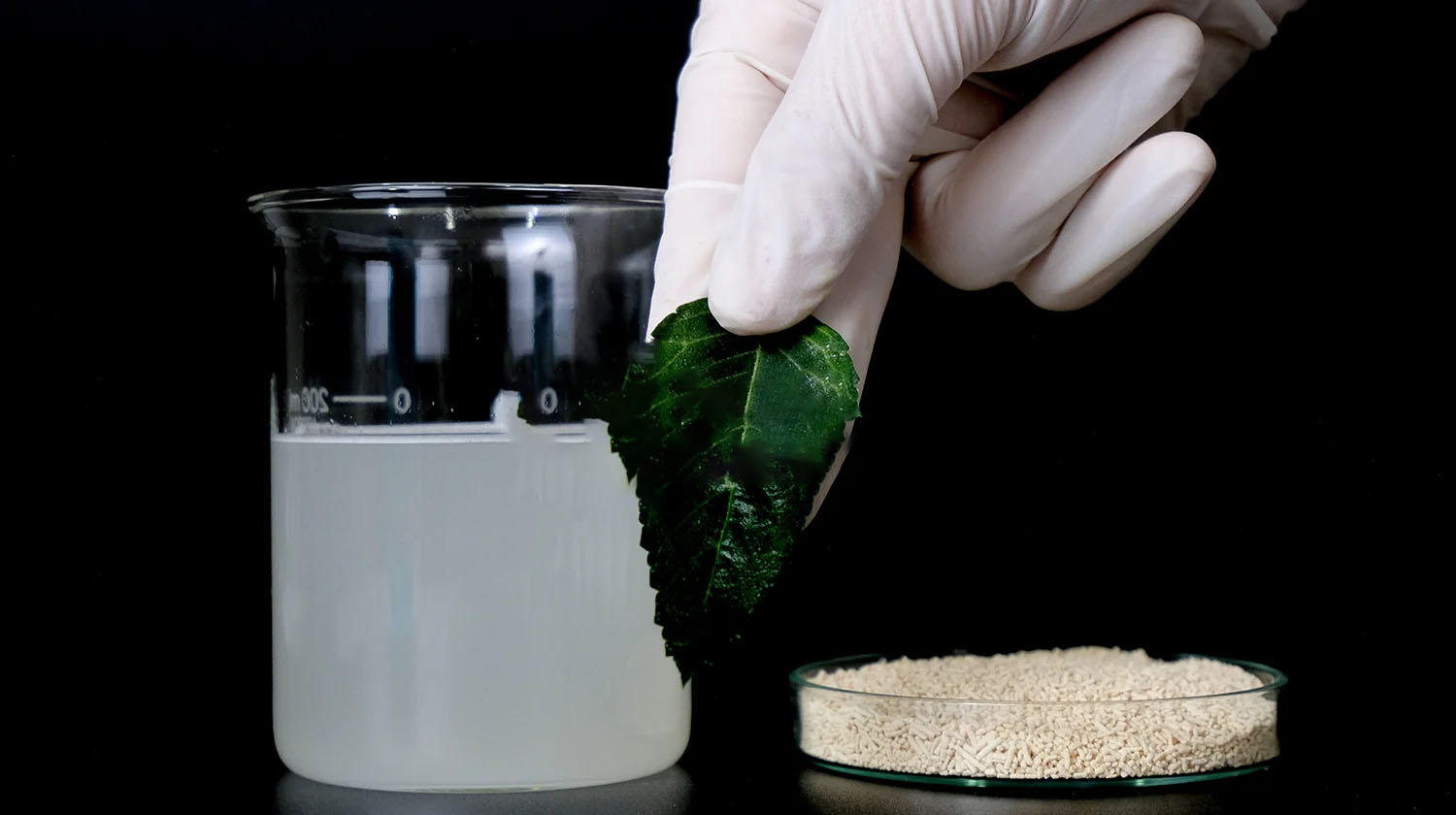 Emamectin Benzoate 51G/Kg Thuốc trừ sâu CREEK 51WG - Emamectin Benzoate 51g/kg hòa tan tốt trong nước