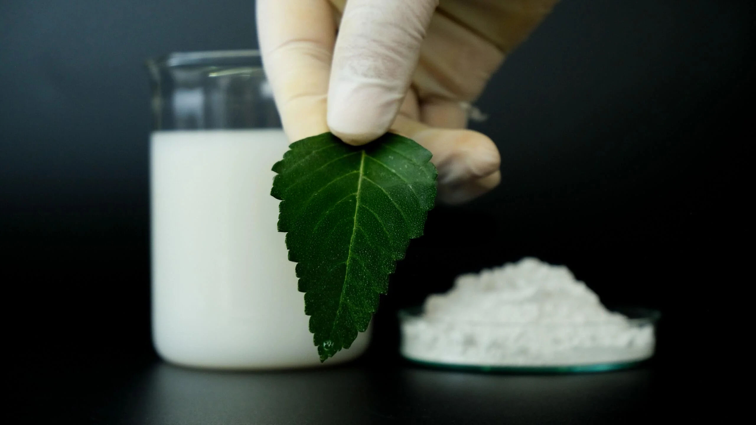 Thuốc trừ sâu Buprofezin 6.7% + Imidacloprid 3.3%