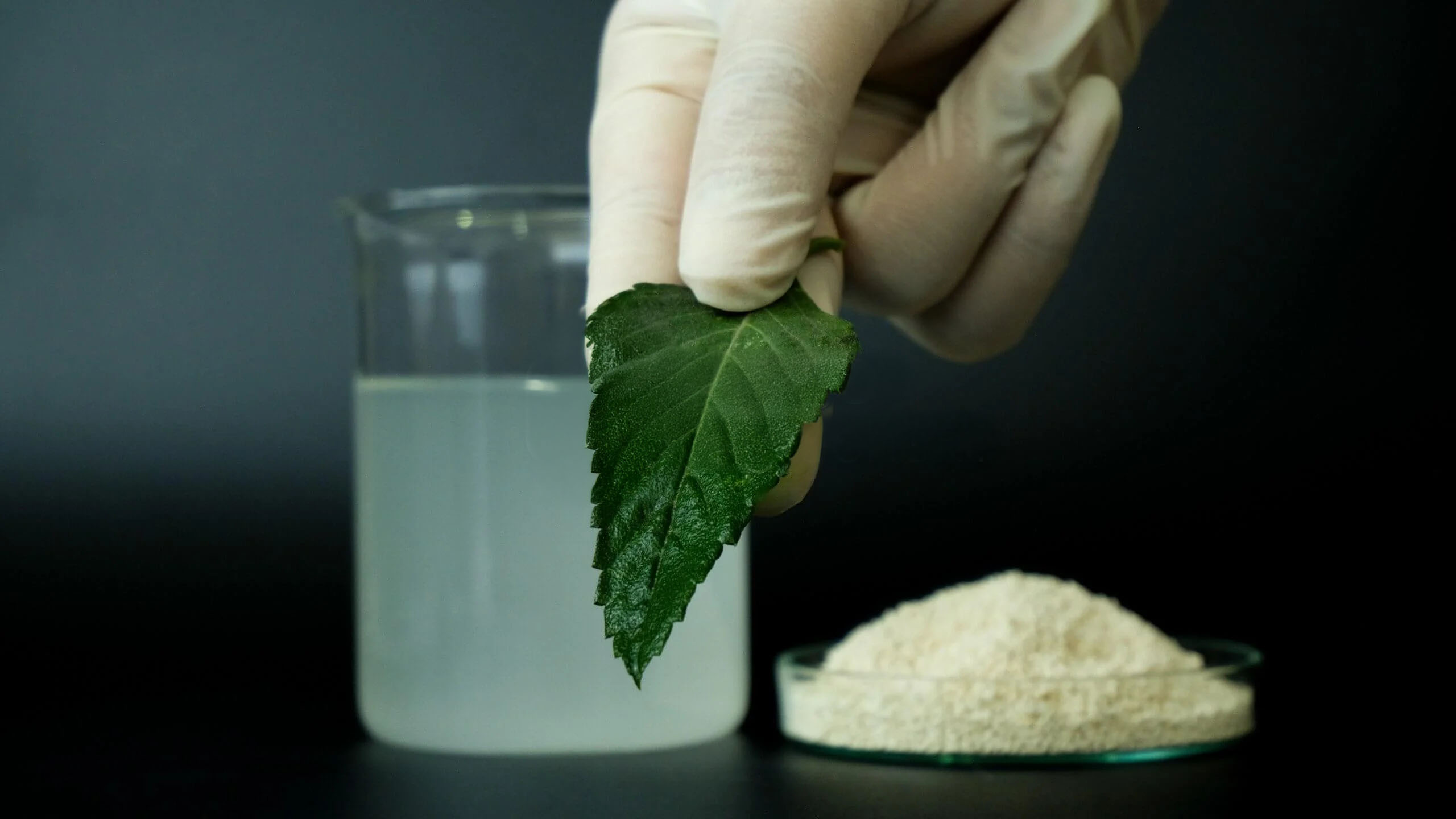 thuốc trừ sâu SHERDOBA 5.5WG - Emamectin Benzoate 55g/kg