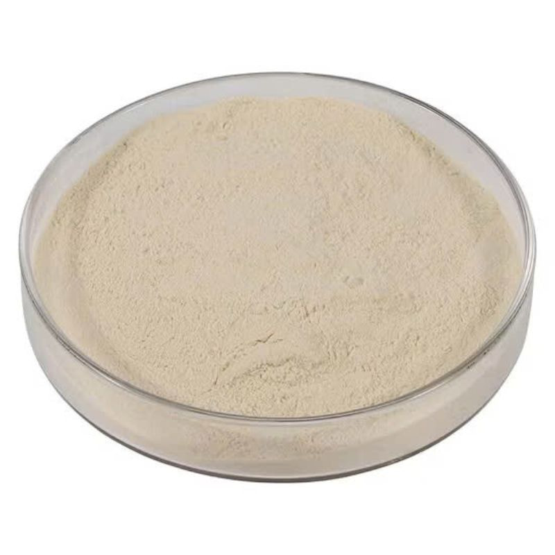 amino acid amino acid