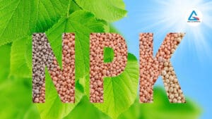 Công dụng của phân NPK: Bí quyết tăng năng suất cây trồng aba chemical