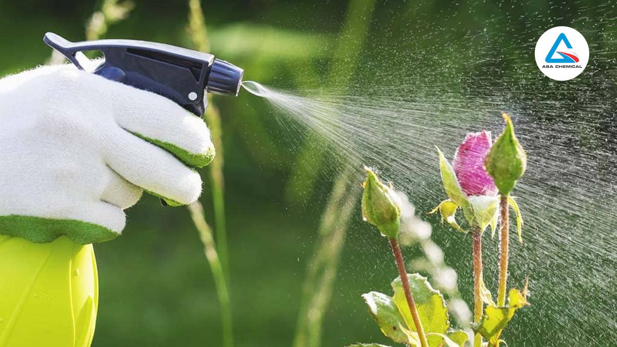 Cách Làm Thuốc Trừ Sâu Sinh Học Hiệu Quả Tại Nhà, An Toàn Cho Môi Trường