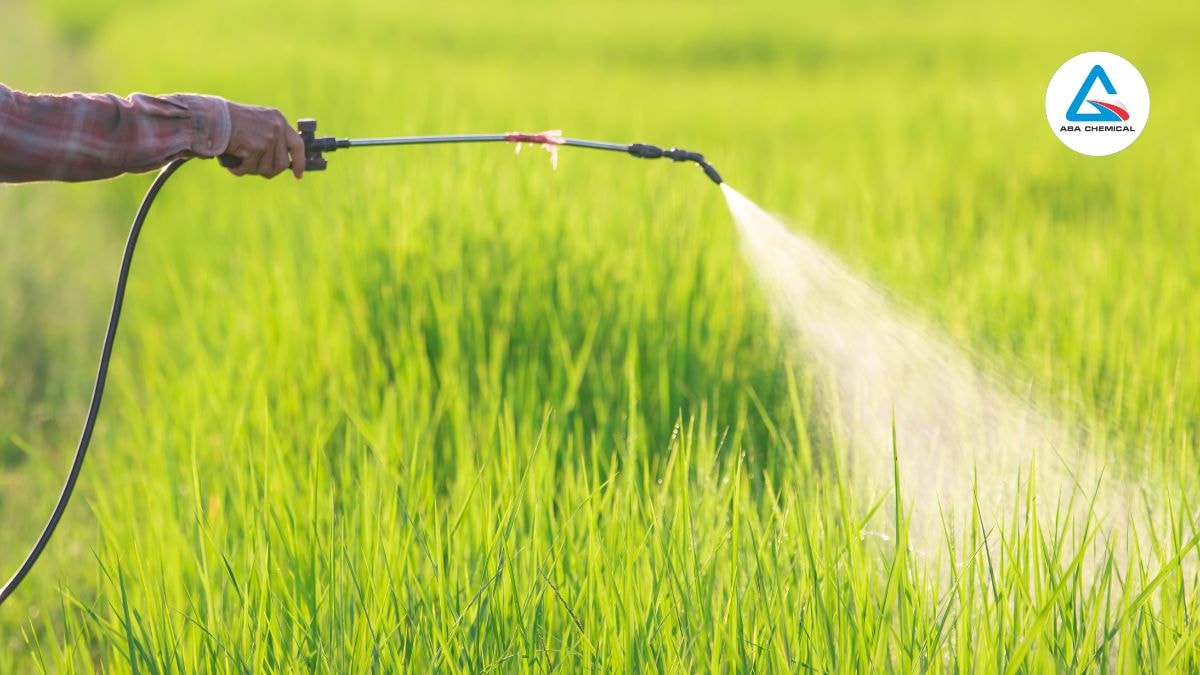 CÔNG TY THUỐC BẢO VỆ THỰC VẬT - ĐỒNG HÀNH CÙNG NÔNG NGHIỆP HIỆN ĐẠI