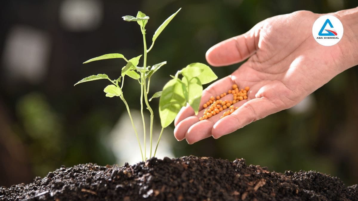 GIÁ PHÂN HỮU CƠ - CÁC YẾU TỐ ẢNH HƯỞNG VÀ CÁCH LỰA CHỌN PHÙ HỢP