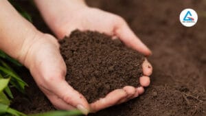 GIÁ PHÂN HỮU CƠ - CÁC YẾU TỐ ẢNH HƯỞNG VÀ CÁCH LỰA CHỌN PHÙ HỢP