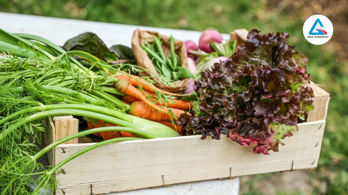 organic-la-gi-abachemical Organic là gì? Xu hướng nông nghiệp hữu cơ và lợi ích vượt trội-abachemical