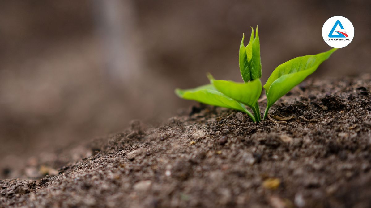 Phân bón hữu cơ Organic - Giải pháp tối ưu cho cây trồng