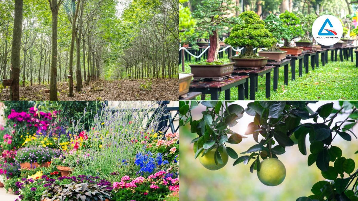 Ủ phân đạm cá đúng chuẩn – Bí quyết dinh dưỡng cho cây trồng vượt trội