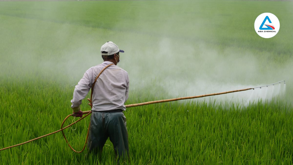 Phân bón trung lượng: Bí quyết cho mùa màng bội thu & Chất lượng nông sản Phân bón trung lượng: Bí quyết cho mùa màng bội thu & chất lượng nông sản