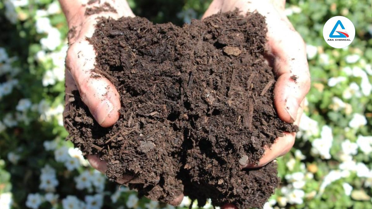 Lân đen và humic giúp đất tơi xốp, tăng khả năng giữ nước và dinh dưỡng, hạn chế xói mòn và rửa trôi