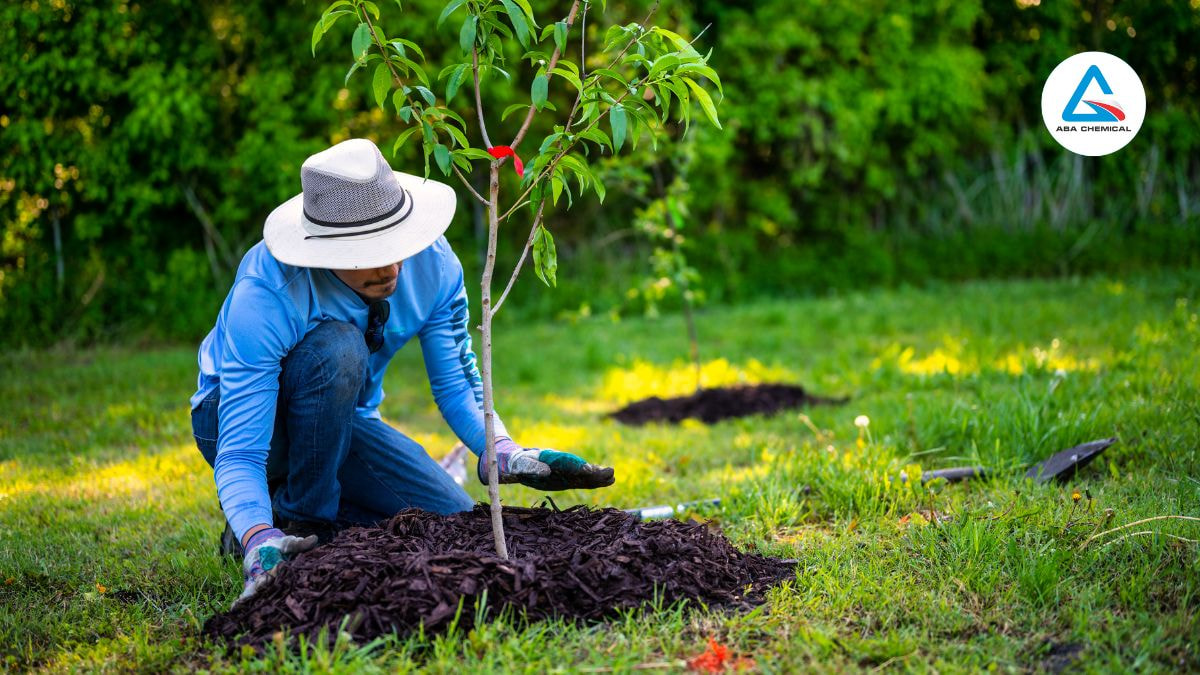 Mẹo sử dụng phân bón NPK 3 màu hiệu quả cho từng loại cây trồng