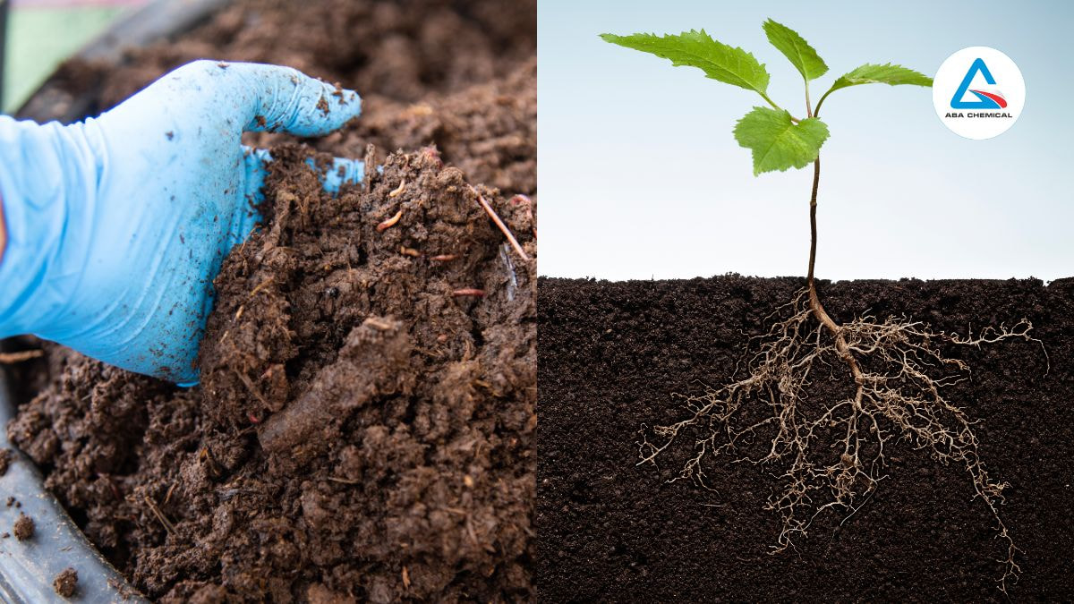 Phân bón hữu cơ Humic: Sự kết hợp hoàn hảo cho đất & cây trồng