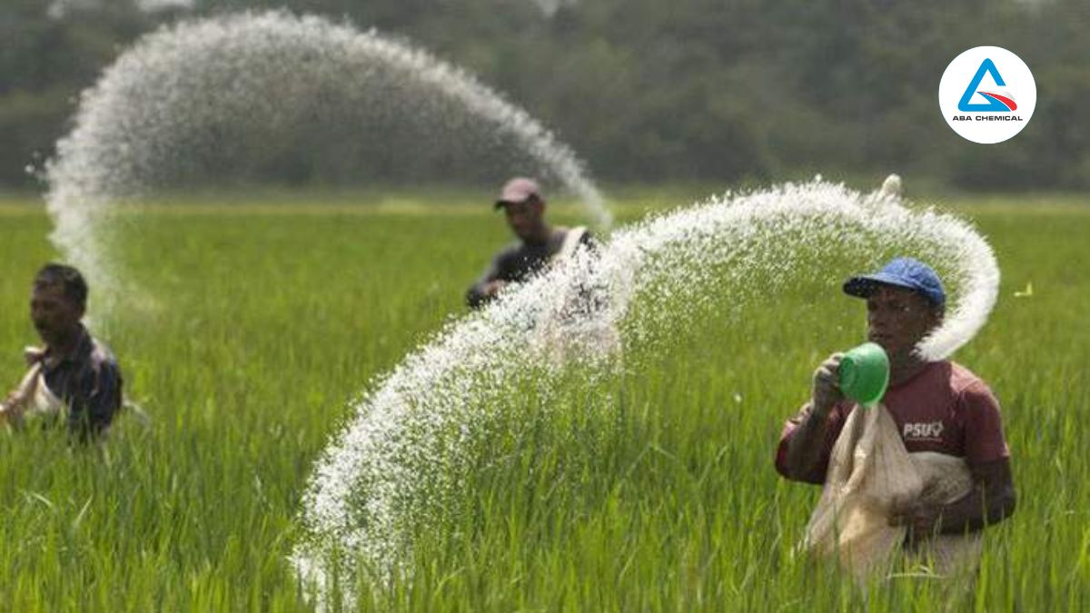 Nhu cầu phân bón tăng cao vào các mùa vụ lớn là động lực thúc đẩy ngành, đặc biệt khi diện tích canh tác mở rộng.