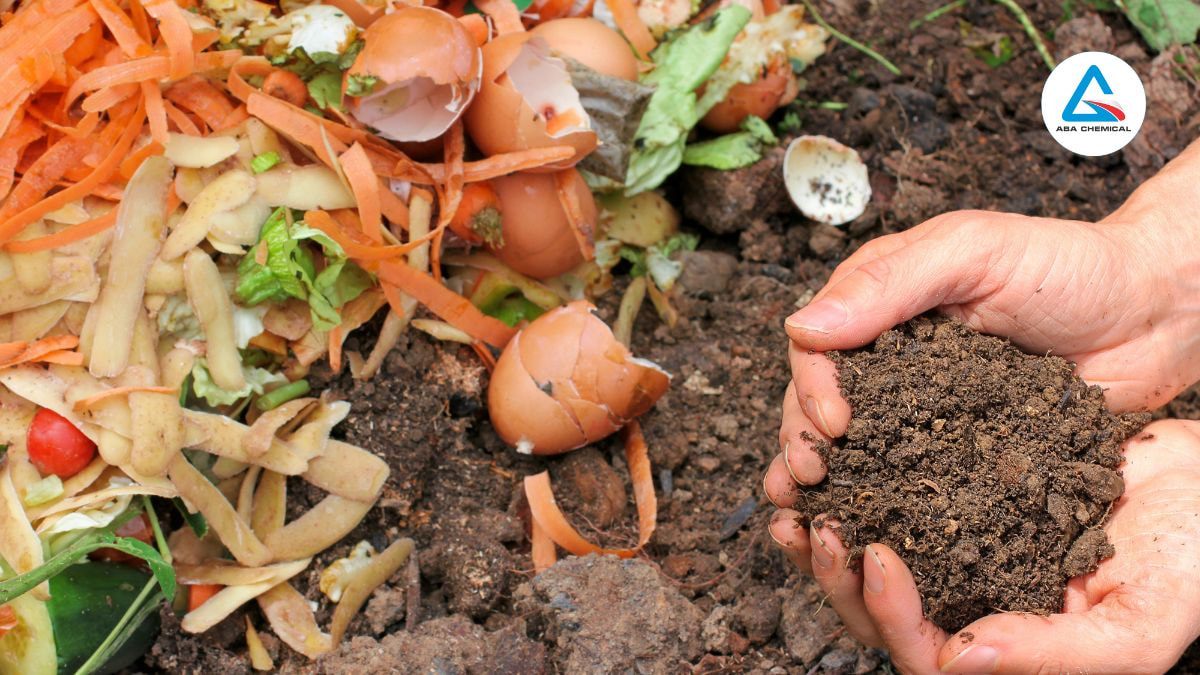 Vai trò của phân bón hữu cơ trong việc cải tạo đất