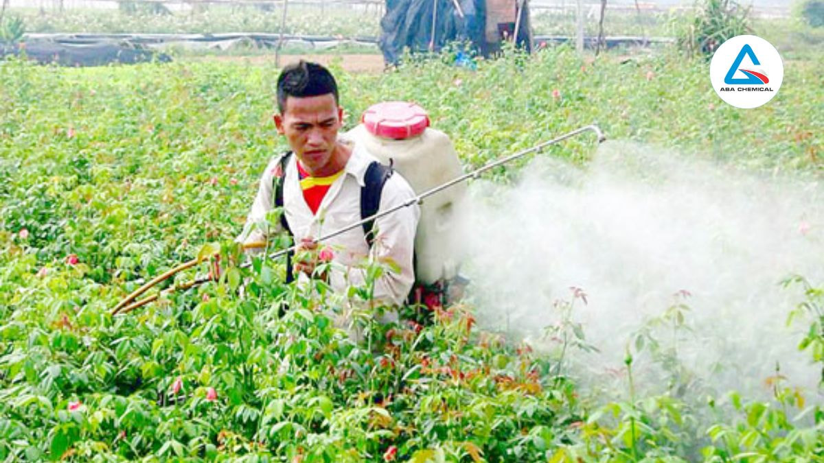 Có thể hòa tan đạm nitrat với nước để phun lên lá, đặc biệt hiệu quả trong giai đoạn cây cần bổ sung dinh dưỡng nhanh chóng.