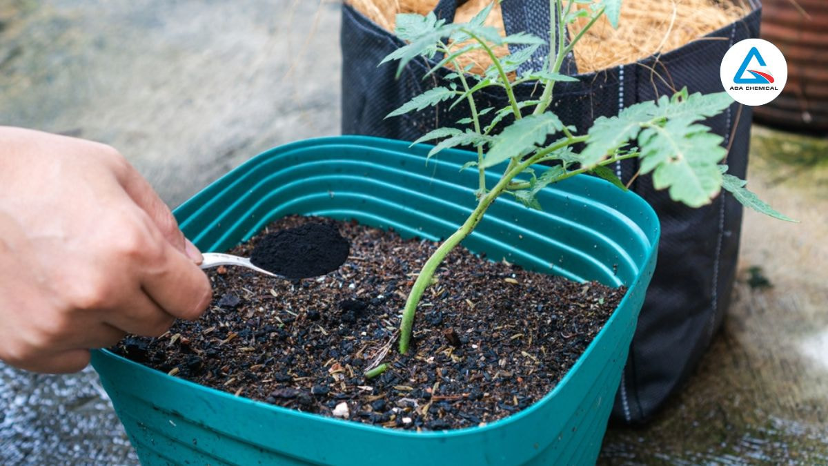 vai-tro-cua-acid-humic-voi-cay-trong-dinh-duong-den-tu-thien-nhien-abachemical